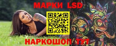 винт Донецк