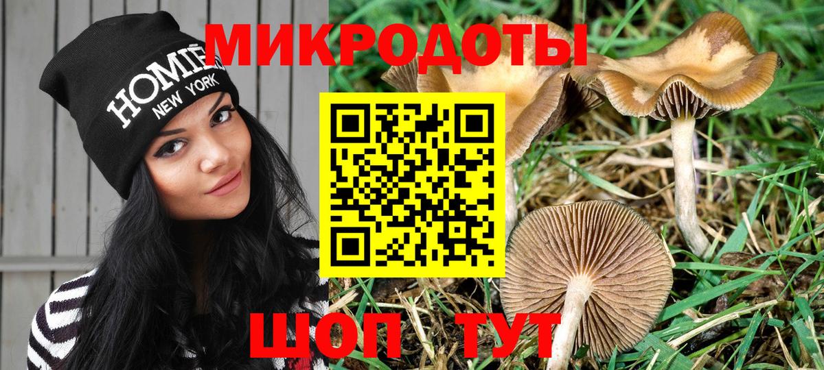 Галлюциногенные грибы Magic Shrooms  Вход с VPN  Галлюциногенные грибы ЛСД  Магадан 